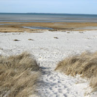 Skaket Beach in Orleans, MA